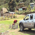 Declaran en emergencia sanitaria distritos de Kimbiri y Pichari en el Vrae