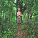 Advierten que existe confusión en consultas sobre Ley Forestal