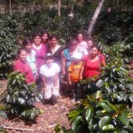 Café producido por mujeres busca conquistar mercados internacionales