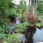 Pobladores de Boquerón denuncian contaminación por gases de aguas residuales