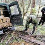 Traficantes de madera forman ‘alianza tenebrosa’ con narcotraficantes en el VRAE