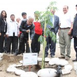 230 millones de árboles plantados es la meta para el 2011 en el Perú