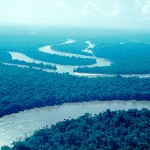 Se reforestarán más de 485 hectáreas de reserva nacional Allpahuayo – Mishana