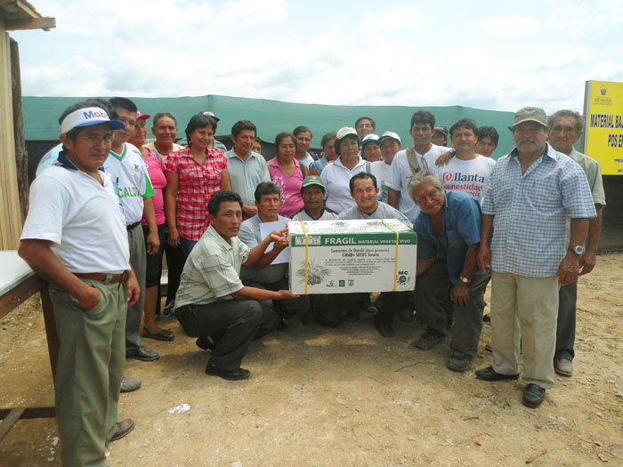 Agricultores de Neshuya recibieron 90 mil semillas de palma aceitera