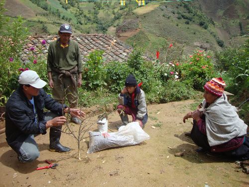 LAS PROVINCIAS DE HUANUCO las provincias de huanuco: