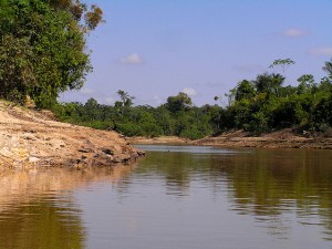 Gobierno Regional de Loreto apuesta por la transparencia forestal