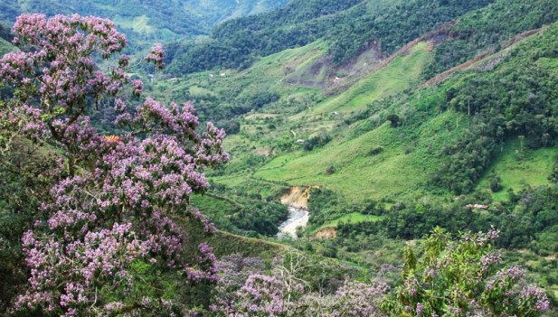 ESTA PRECIOSIDAD ES EXCLUSIVAMENTE PERUANA Valle-los-chilchos-nueva-anp-acp-inforegion-617x351