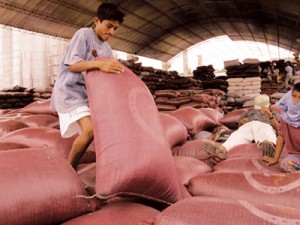 Minag busca elevar competitividad de cafetaleros