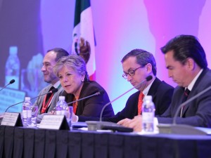 Cepal crea plan de acción sobre medio ambiente para el próximo año
