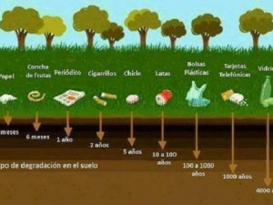 Separar la basura por una Tierra más sostenible