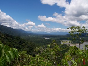 Presentan iniciativa para la conservación de los bosques y la biodiversidad en el Manu