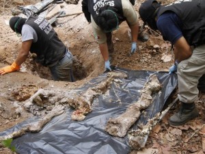 Perú ratifica trabajo conjunto con México en lucha contra el narcotráfico