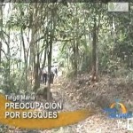 Asociación de Madereros de Tingo María critica manejo forestal (video)
