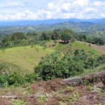 Narcotráfico vierte 15 millones de litros de insumos químicos en los ríos de la Amazonía cada año