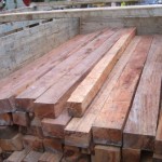 Policías de Aucayacu incautaron cerca de 6 mil 700 pies de madera tornillo ilegales con destino a Lima
