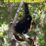 Ministerio de Agricultura dicta norma sobre utilización y cuidado de animales en circos