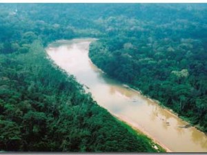SPDA pide analizar construcción de carreteras que involucren las áreas naturales protegidas