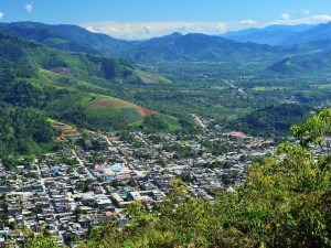 Continúan talleres para el Proceso de Fortalecimiento del Sector Forestal y de Fauna Silvestre
