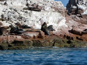 Turismo en áreas naturales generó más de 9 millones de ingresos al país