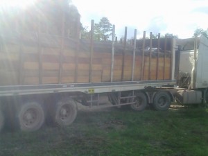 Incautan siete mil pies de madera ilegal en el Vraem