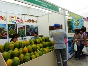 Devida invita a la población a asistir al Primer Festivraem