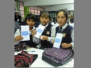 El 45% de instituciones educativas registran casos de bullying