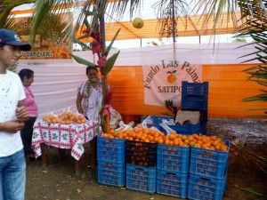 Hoy se inicia XXX Feria Regional Agropecuaria y Festival de la Naranja en Satipo