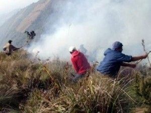 Incendio forestal en el distrito de Tambillo afecta áreas de cobertura natural
