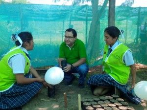Más de 580 familias cafetaleras de Satipo mejoran producción de café