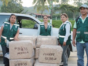 Decomisan cargamento ilegal de 100 kilos de musgo blanco en Satipo