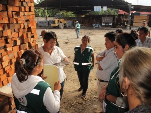 Satipo: Pretendían pasar como residuos madera de alto valor comercial