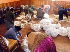 Ayacucho priorizará la exportación de productos andinos