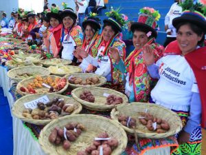 Ayacucho: MTPE invierte más de S/3 millones para beneficiar a damnificados
