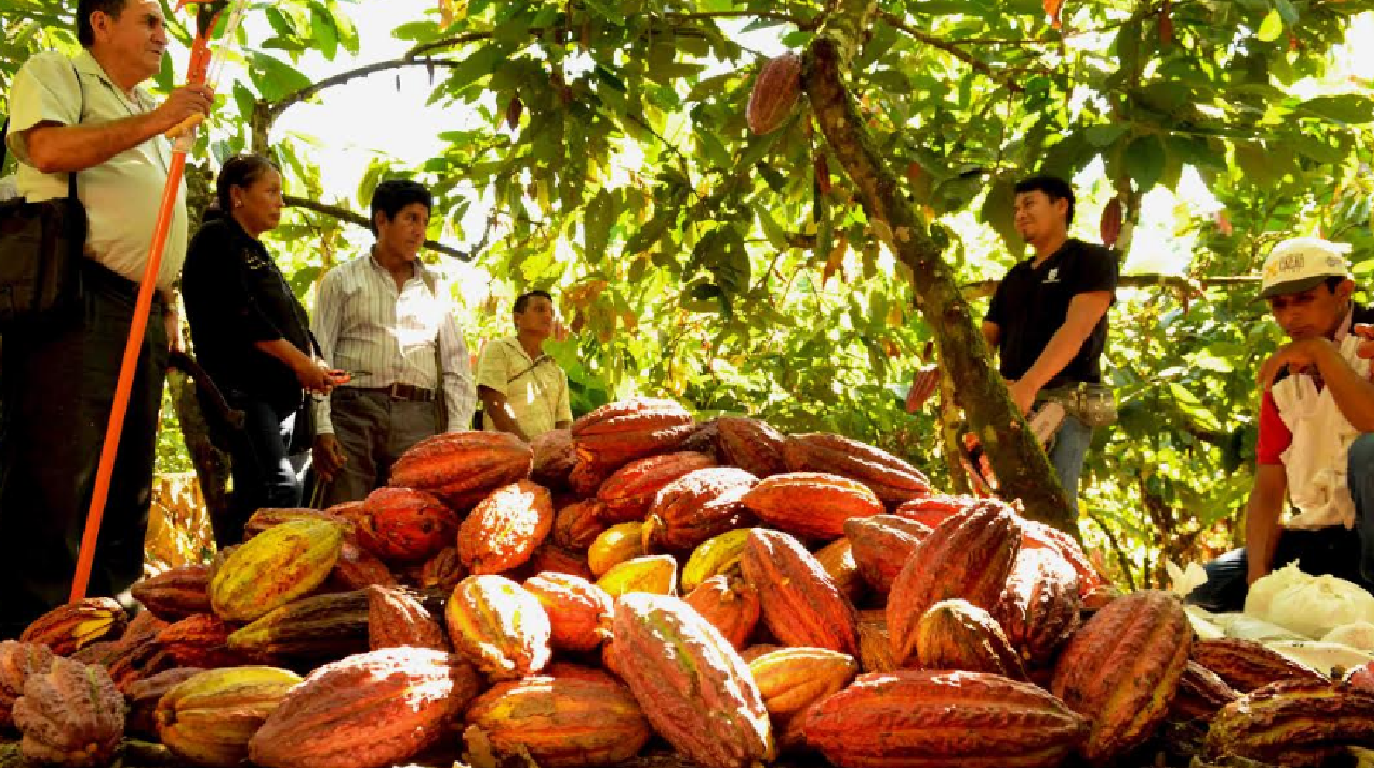 Agricultores Podr n Reaccionar Mejor Ante Fluctuaciones Del Mercado De 