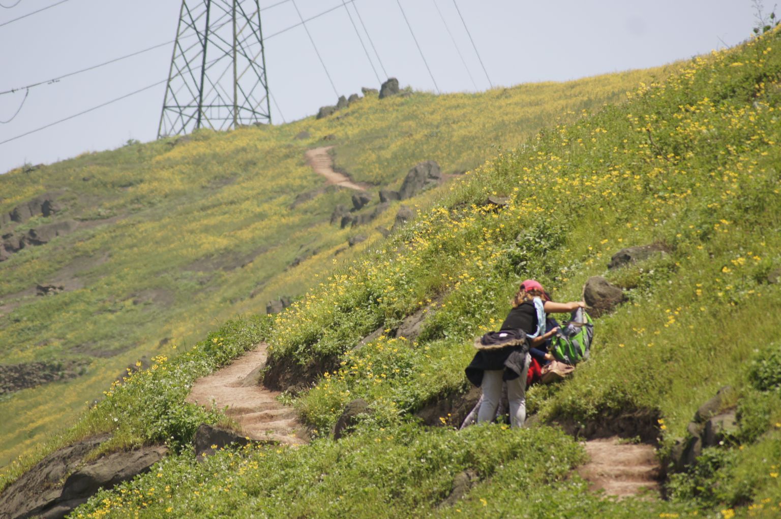 Lomas de Amancaes sigue desproteguida Inforegion