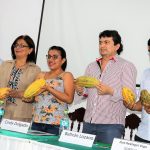 Alistan X Festival del cacao y Chocolate 2018 a realizarse en Juanjui