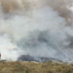 Bomberos extinguen incendio forestal ocurrido en Tumbes