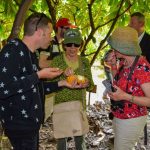 Cacao peruano en la mira de empresarios europeos y asiáticos