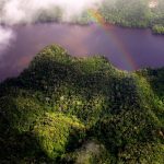 Implementan iniciativa a favor del Parque Nacional Cordillera Azul