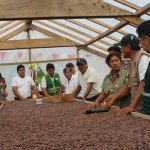 Inauguran Centro de Beneficio del Cacao en Madre de Dios