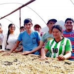 Junín: Unas 430 familias cafetaleras se benefician con secadores solares