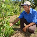 Minagri reconocerá actores que contribuyen en optimización agrícola