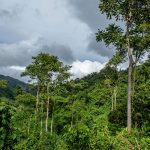Minam reconoce dos nuevas áreas de conservación en Amazonas