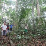Pasco: Comunidad Dinamarca juega partido clave contra la deforestación
