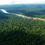 Perú posee 42 tipos de bosques en costa, sierra y selva