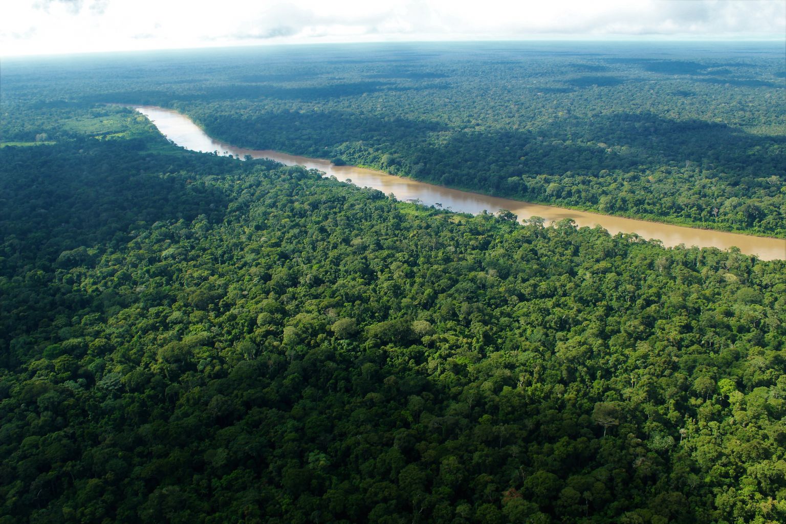 Perú posee 42 tipos de bosques en costa, sierra y selva Inforegion