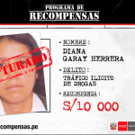 Policía captura a requisitoriada por tráfico de drogas en Tocache