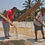Presentan nuevo plan de desarrollo para Amazonas