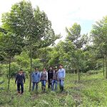 San Martín: Implementan recuperación de suelos degradados