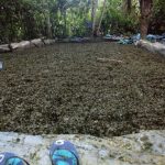 Vraem: Destruyen poza de maceración con tres toneladas de hoja de coca